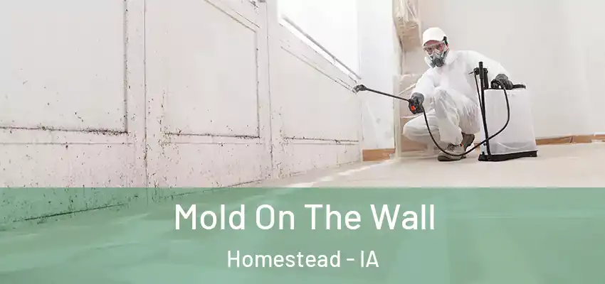 Mold On The Wall Homestead - IA