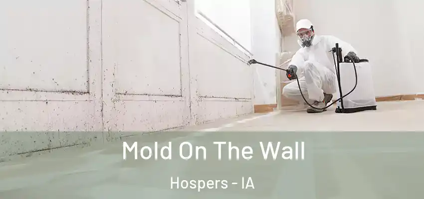  Mold On The Wall Hospers - IA