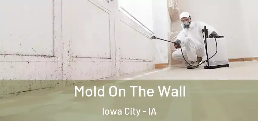 Mold On The Wall Iowa City - IA