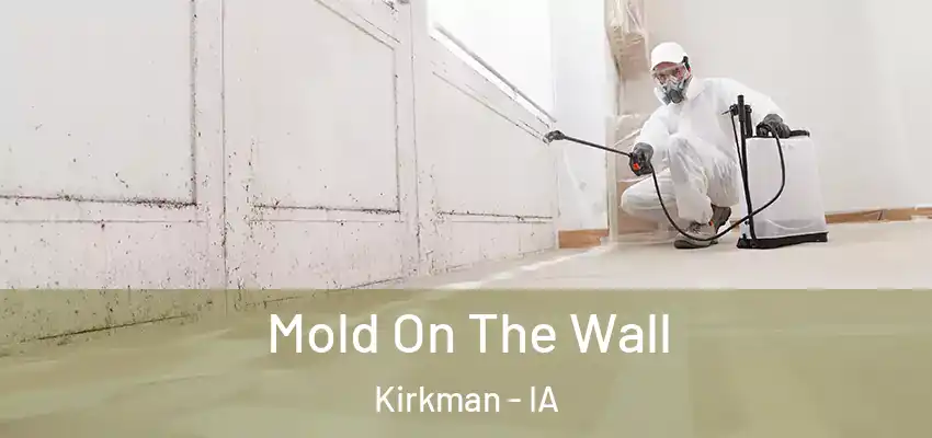  Mold On The Wall Kirkman - IA