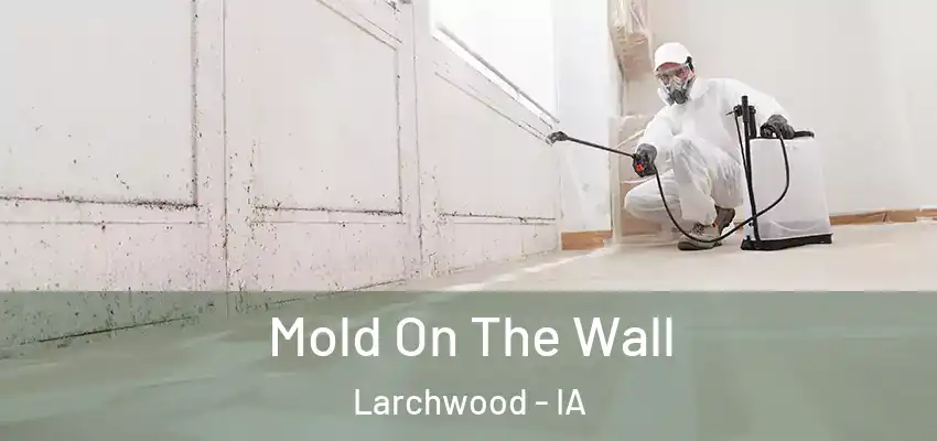  Mold On The Wall Larchwood - IA