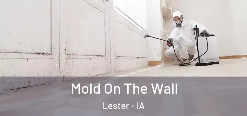 Mold On The Wall Lester - IA