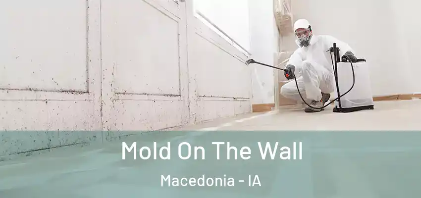  Mold On The Wall Macedonia - IA