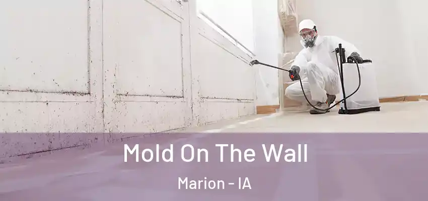 Mold On The Wall Marion - IA