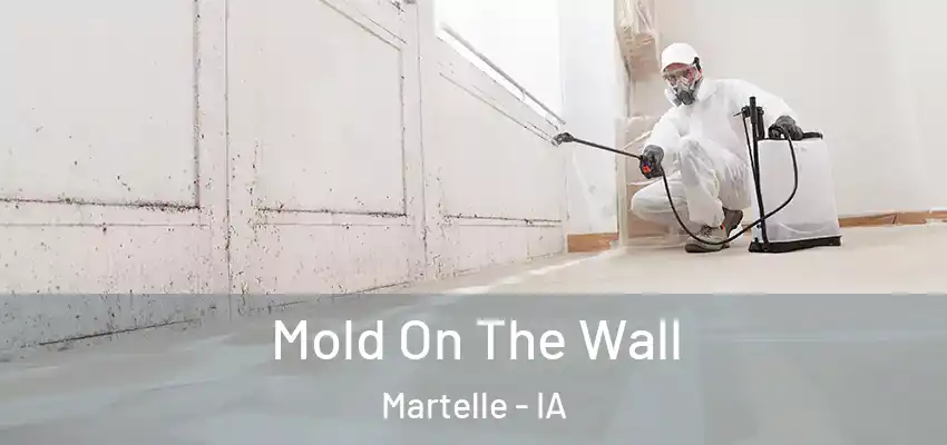  Mold On The Wall Martelle - IA