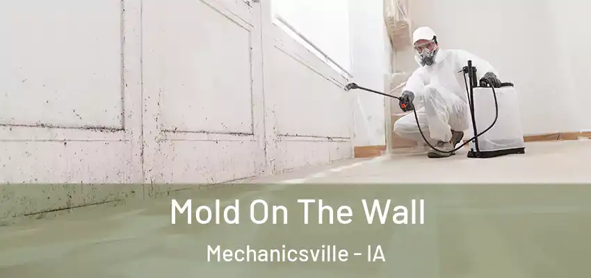  Mold On The Wall Mechanicsville - IA