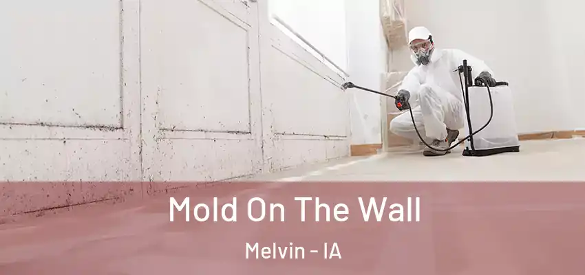 Mold On The Wall Melvin - IA