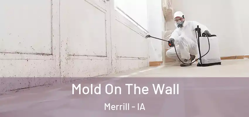 Mold On The Wall Merrill - IA