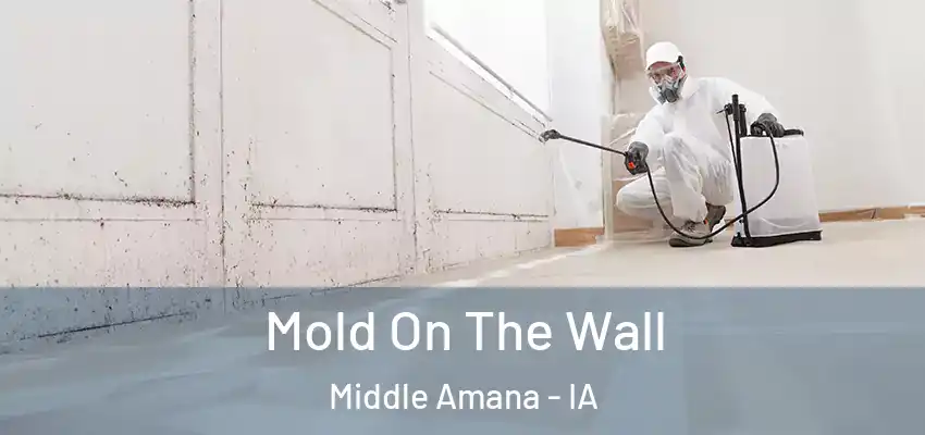 Mold On The Wall Middle Amana - IA