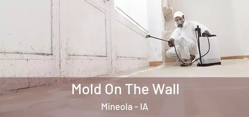 Mold On The Wall Mineola - IA