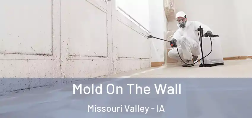  Mold On The Wall Missouri Valley - IA
