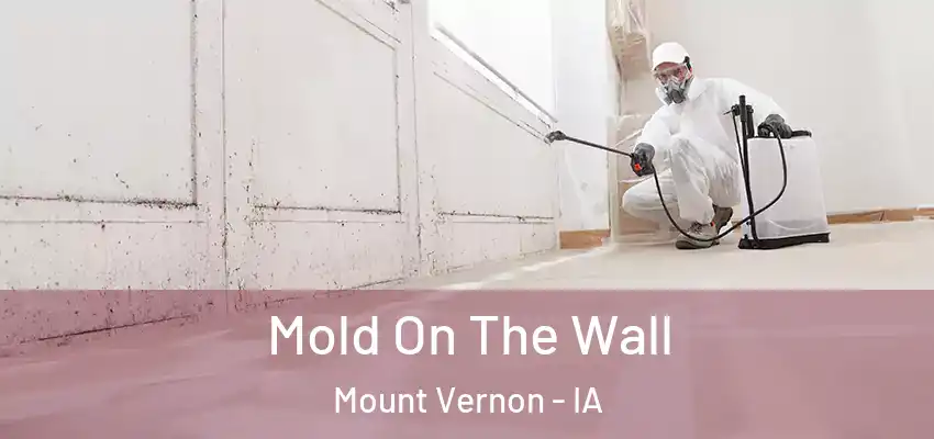  Mold On The Wall Mount Vernon - IA