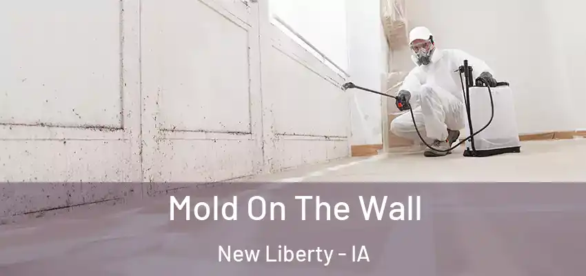 Mold On The Wall New Liberty - IA