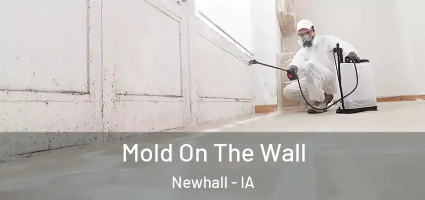  Mold On The Wall Newhall - IA