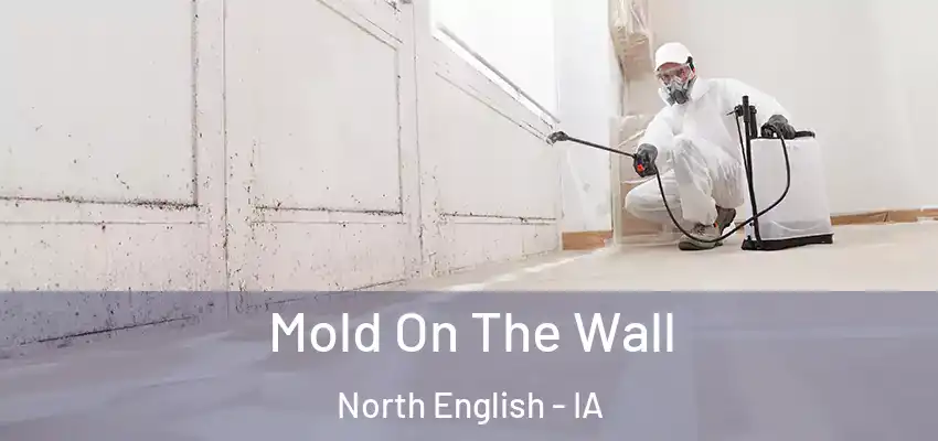  Mold On The Wall North English - IA