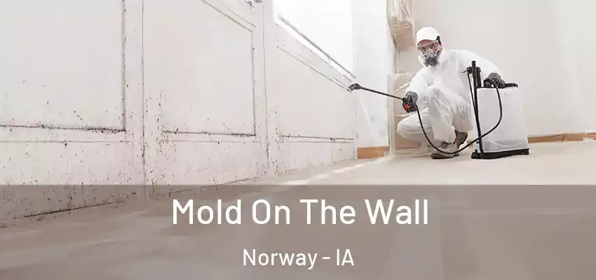  Mold On The Wall Norway - IA