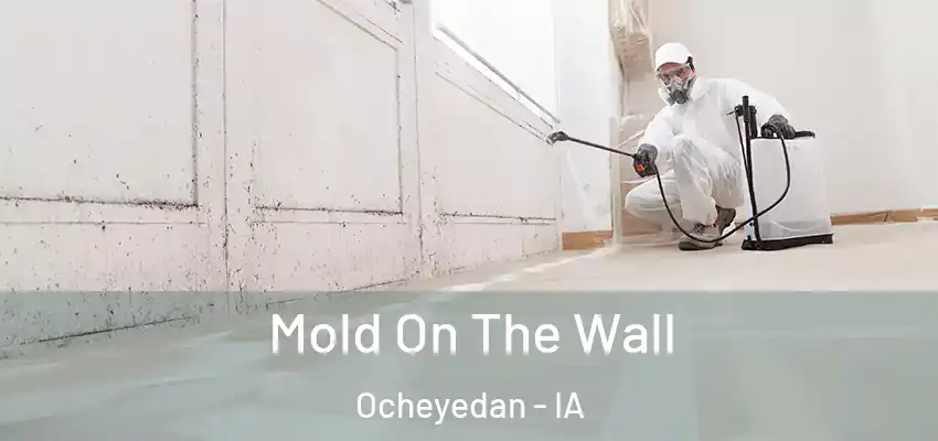 Mold On The Wall Ocheyedan - IA