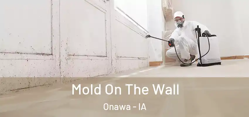  Mold On The Wall Onawa - IA