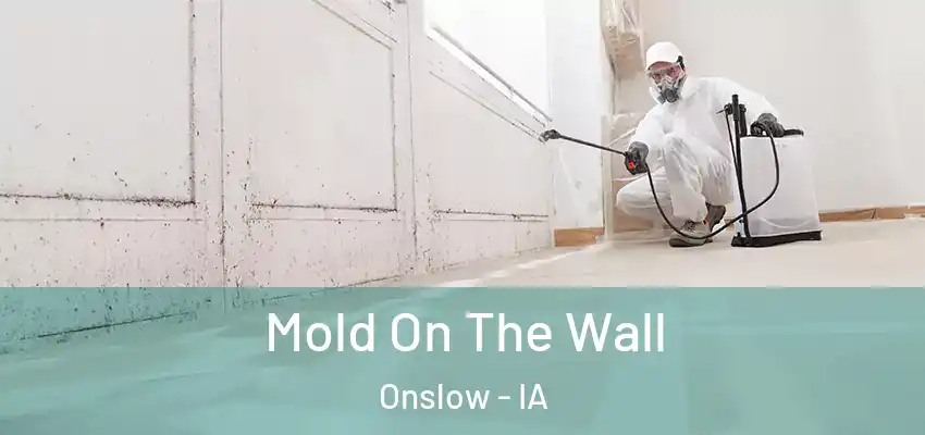 Mold On The Wall Onslow - IA