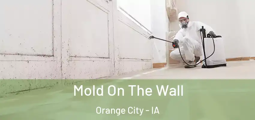 Mold On The Wall Orange City - IA