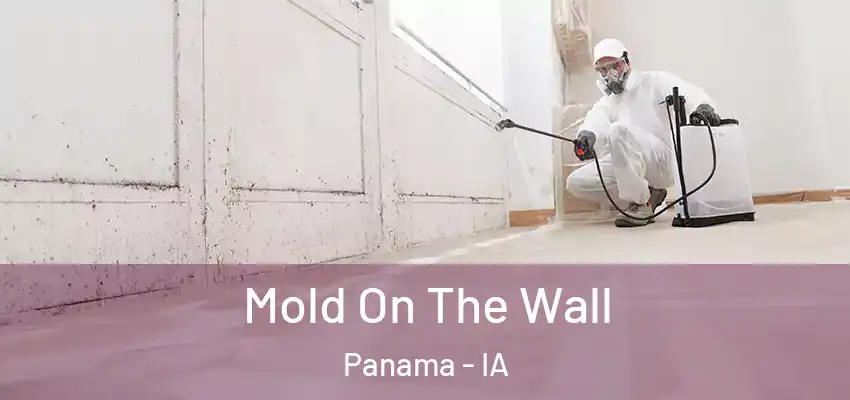 Mold On The Wall Panama - IA