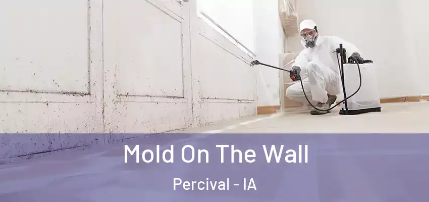  Mold On The Wall Percival - IA