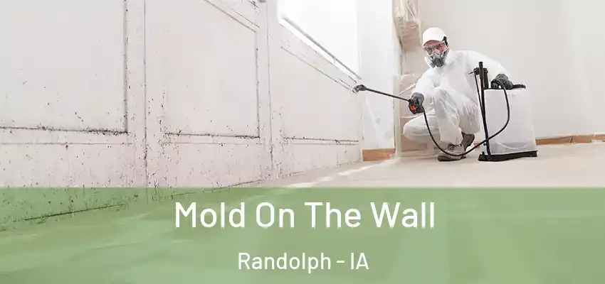  Mold On The Wall Randolph - IA