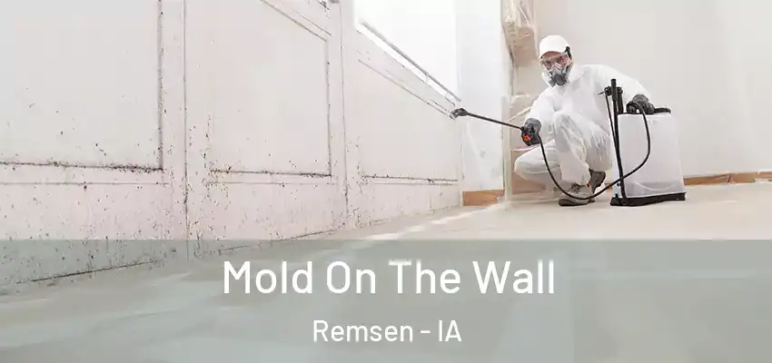  Mold On The Wall Remsen - IA