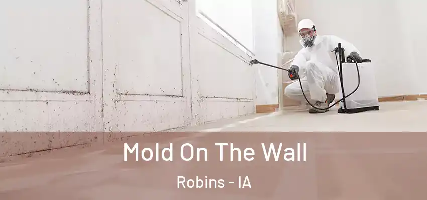 Mold On The Wall Robins - IA