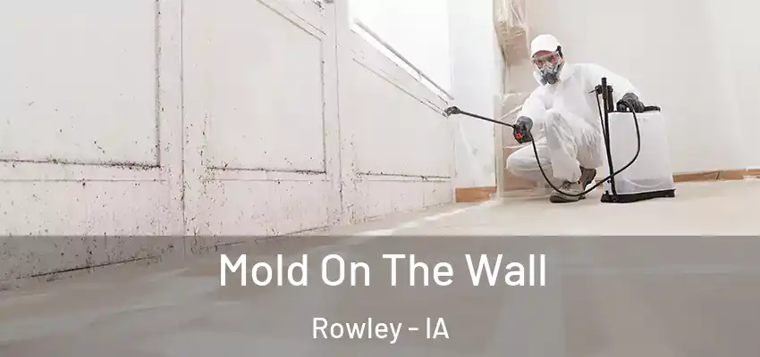 Mold On The Wall Rowley - IA