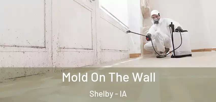  Mold On The Wall Shelby - IA