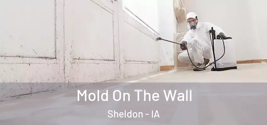 Mold On The Wall Sheldon - IA