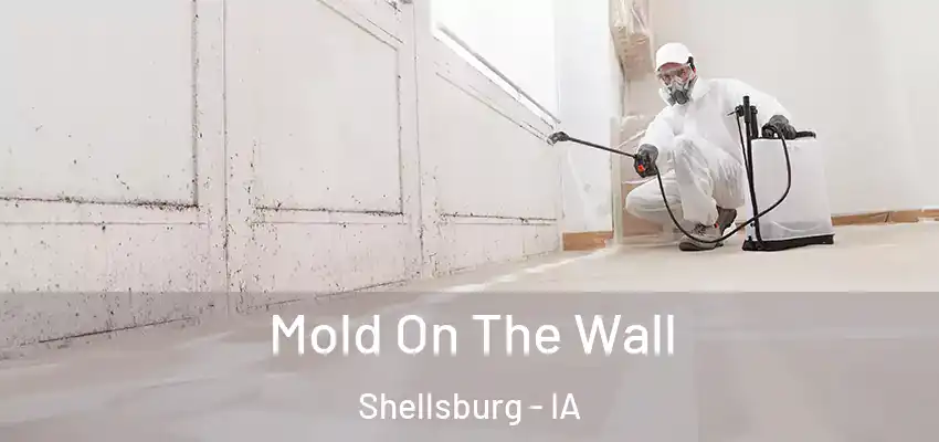  Mold On The Wall Shellsburg - IA