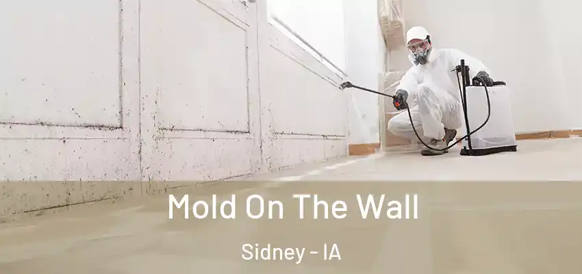  Mold On The Wall Sidney - IA