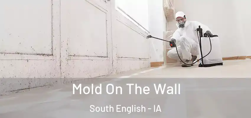 Mold On The Wall South English - IA