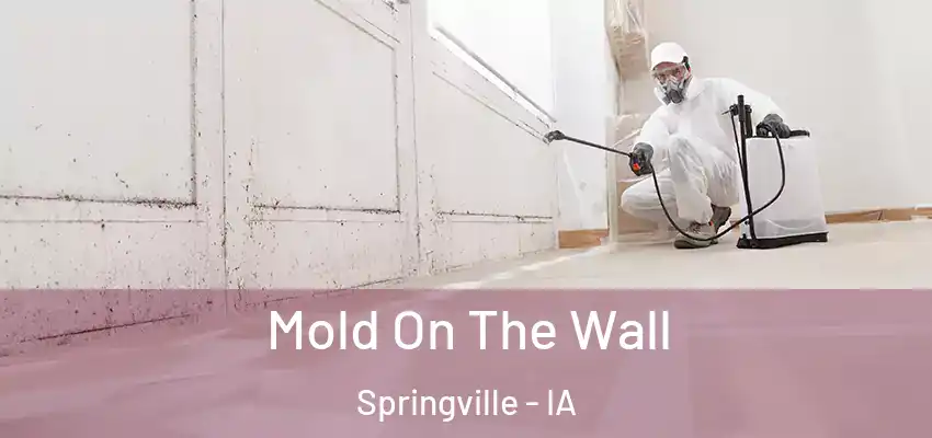 Mold On The Wall Springville - IA