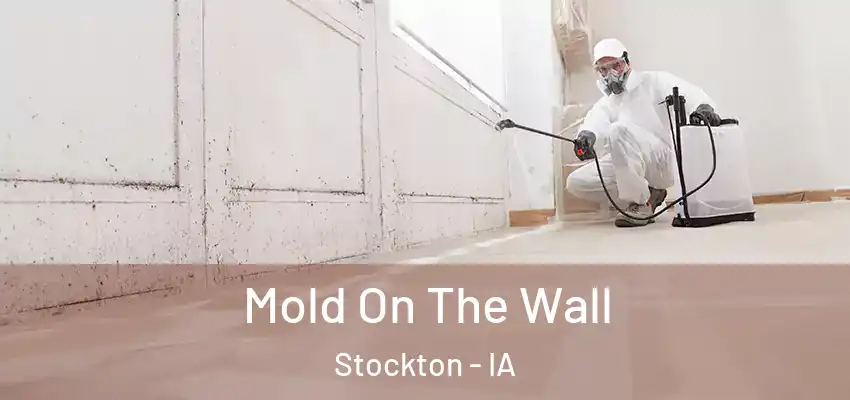 Mold On The Wall Stockton - IA