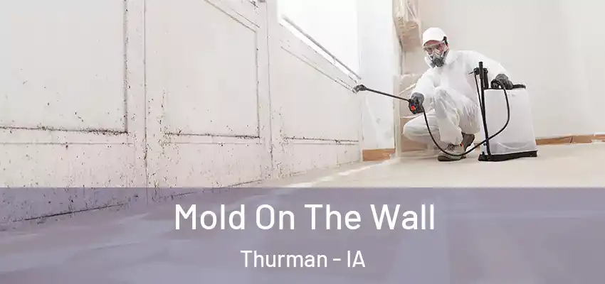 Mold On The Wall Thurman - IA