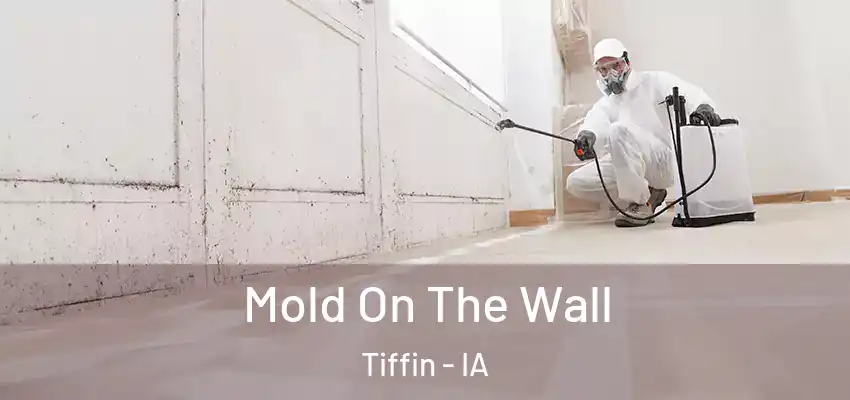  Mold On The Wall Tiffin - IA