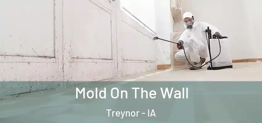  Mold On The Wall Treynor - IA