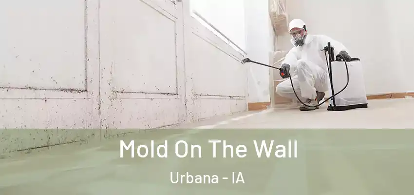 Mold On The Wall Urbana - IA