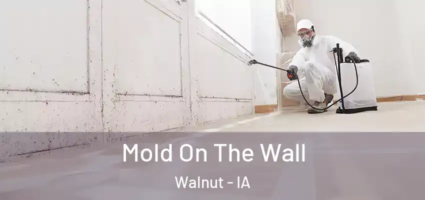 Mold On The Wall Walnut - IA