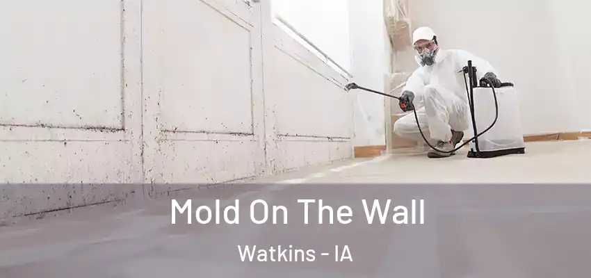  Mold On The Wall Watkins - IA