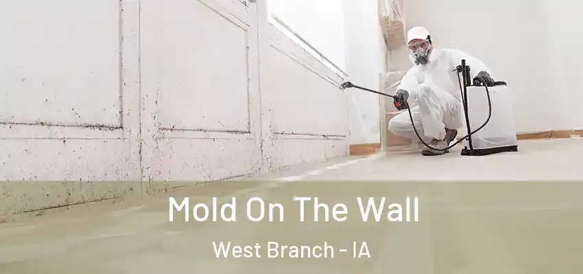  Mold On The Wall West Branch - IA