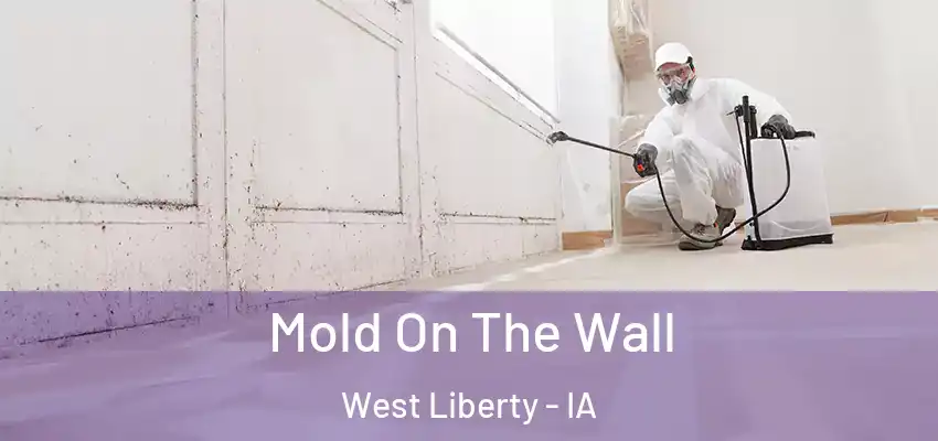  Mold On The Wall West Liberty - IA