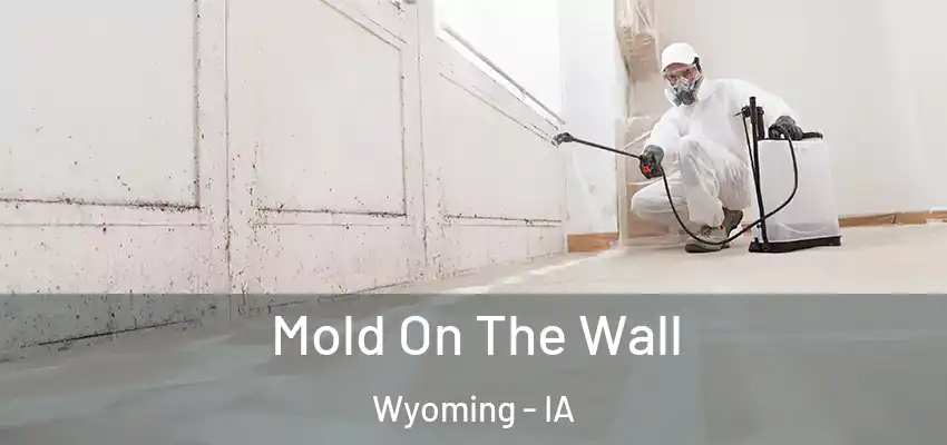 Mold On The Wall Wyoming - IA