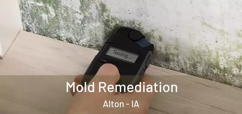  Mold Remediation Alton - IA