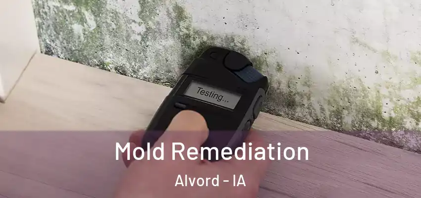  Mold Remediation Alvord - IA