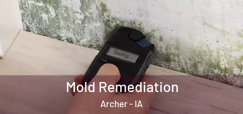 Mold Remediation Archer - IA