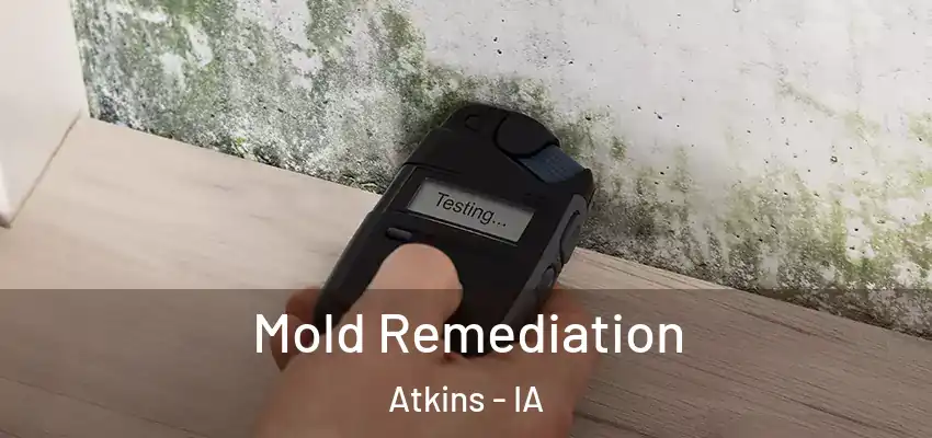 Mold Remediation Atkins - IA